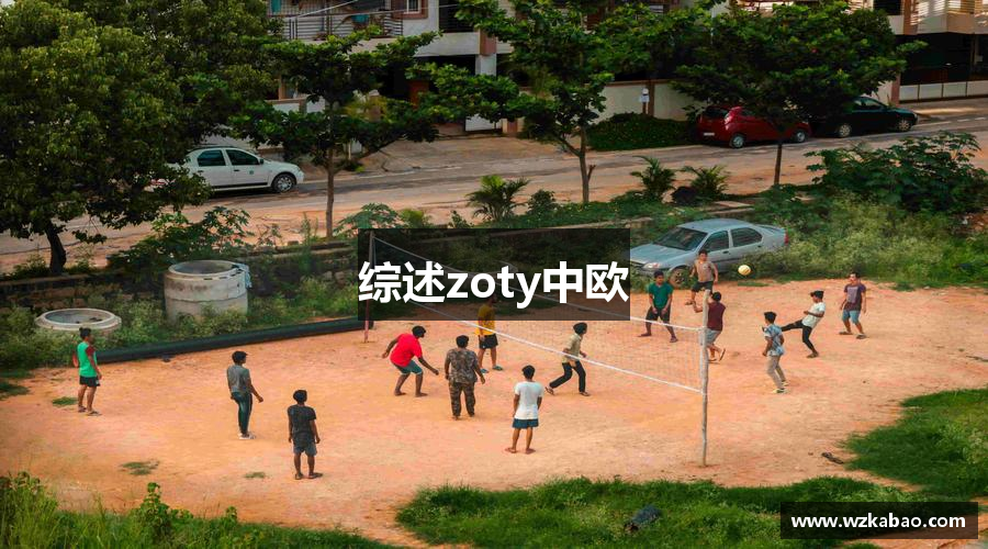 综述zoty中欧